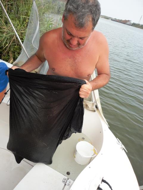 delta rosu 2011 - dsc00901.JPG